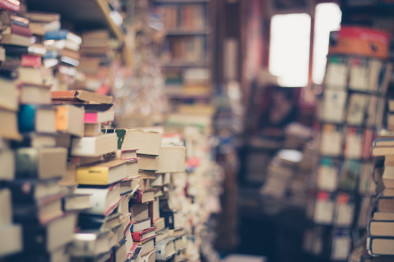 10 Novels for Sale